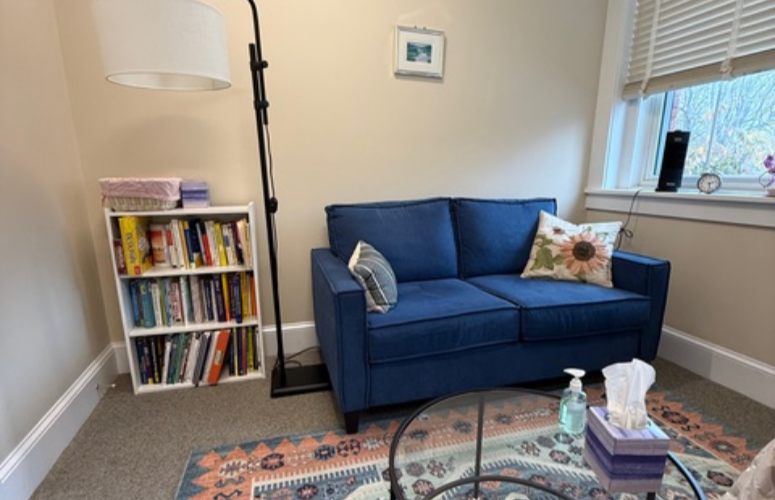 Calm therapy office with a blue sofa and books